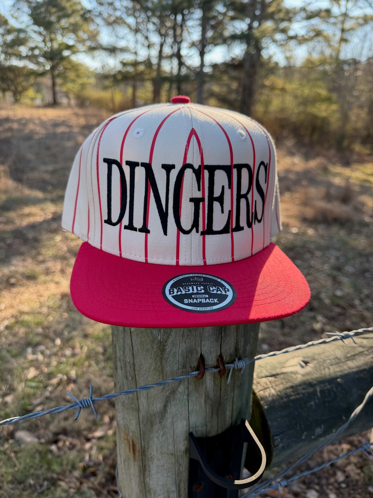 Dingers Red Striped Baseball Hat
