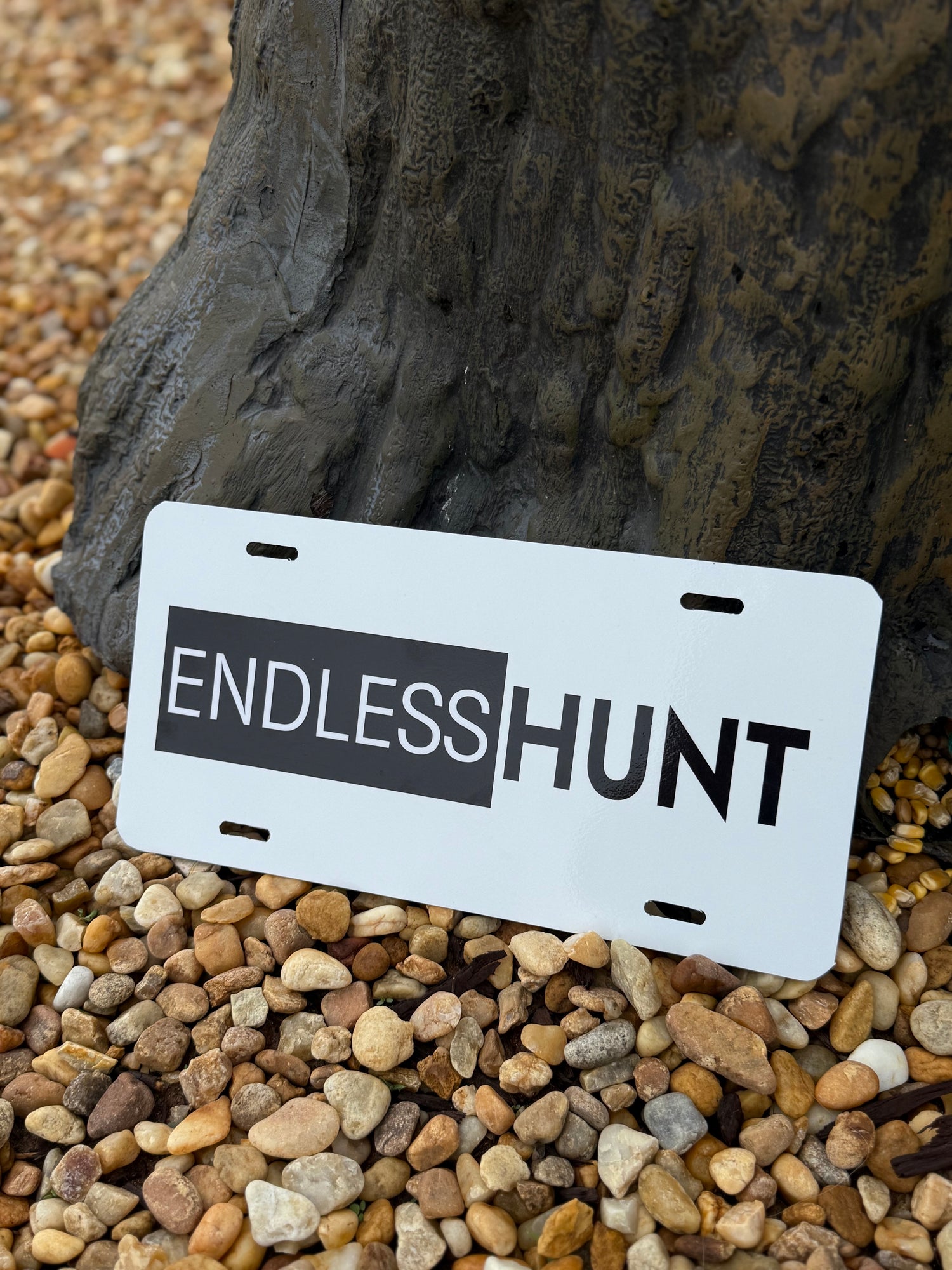 Endless Edition License Plate