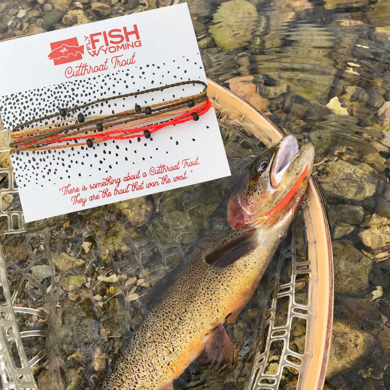 Wyoming Cutthroat Trout Pattern Bracelet