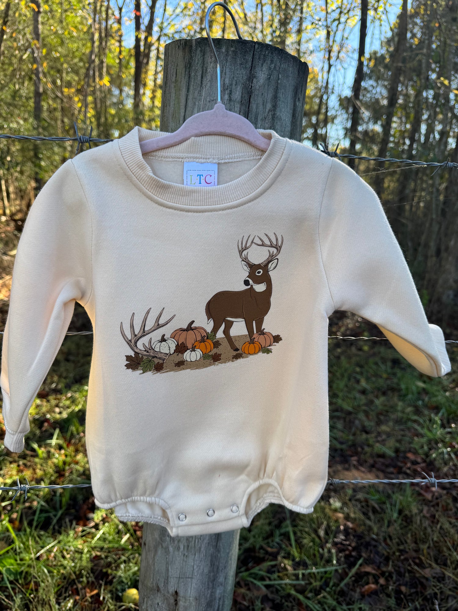 Pumpkin Patch Romper