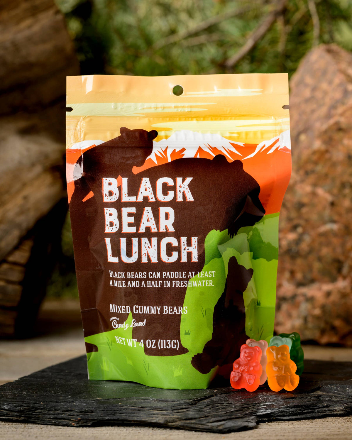 Black Bear Lunch
