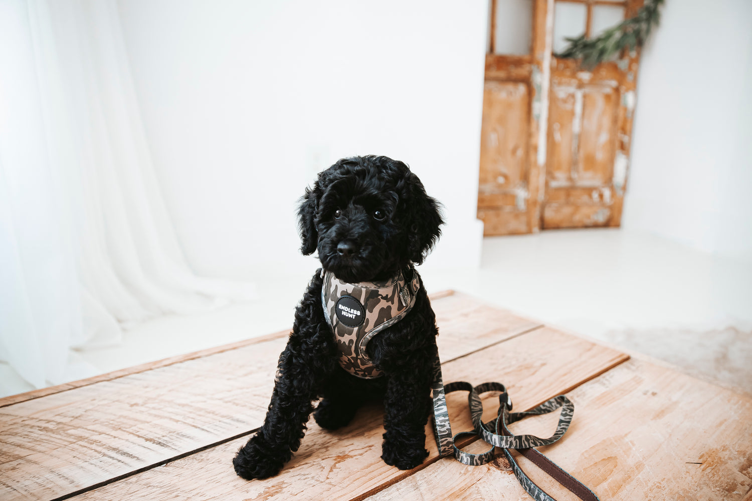 Daybreak Harness