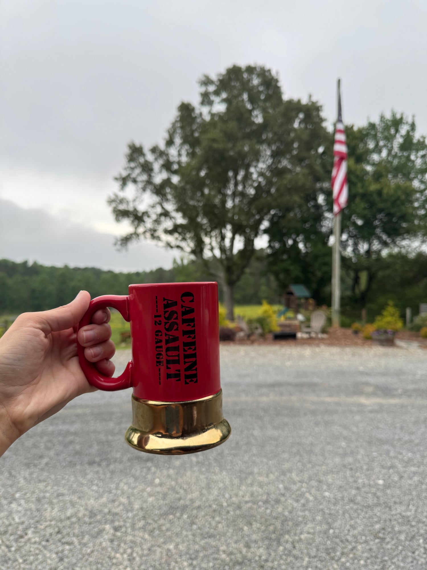 Caffeine Assault Mug