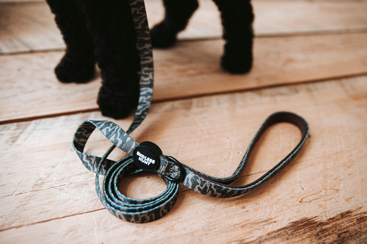 Daybreak Leash