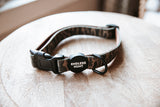 Daybreak Collar