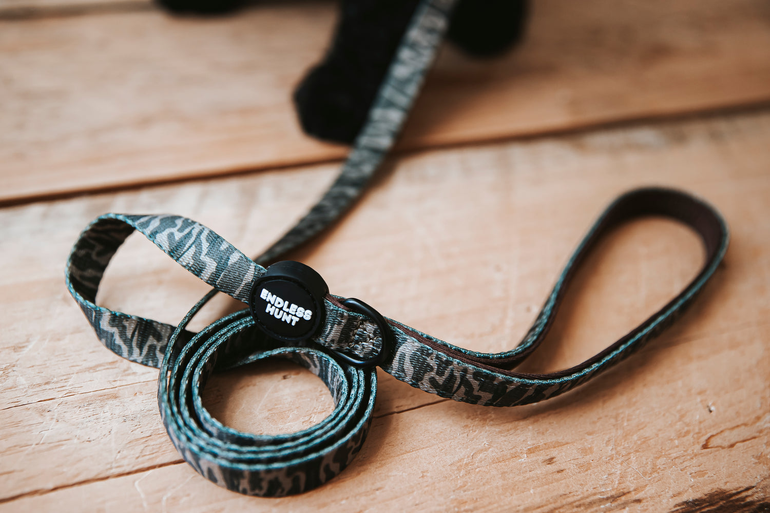 Daybreak Leash