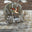 Bottomland/Loden