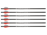 Umarex Air Pro javelin Arrow 6 pack